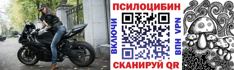 Псилоцибиновые грибы GOLDEN TEACHER  KRAKEN ТОР  Касимов 
